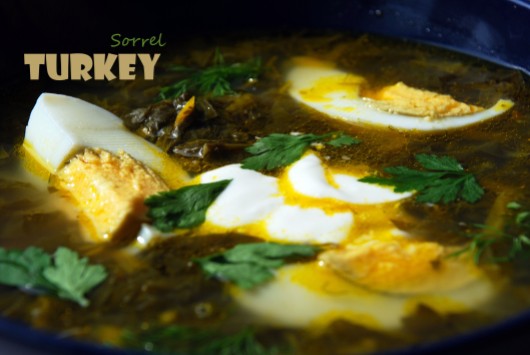 Turkey Sorrel Soup 2TS